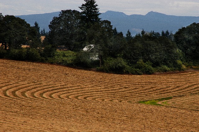 Farmland in the Foothills